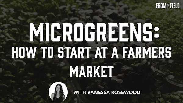 how to start at a farmers market microgreens