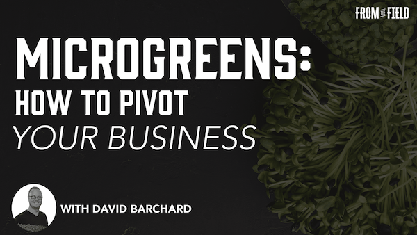 how to pivot your microgreens business