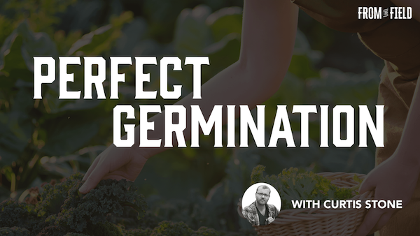 perfect germination