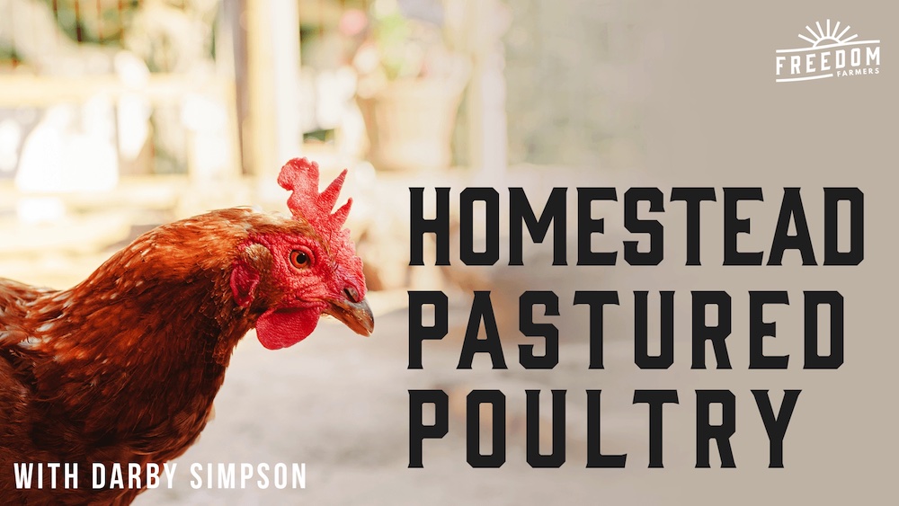 Homestead Pastured Poultry with Darby Simpson