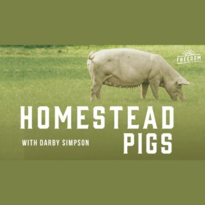 homestead pigs with darby simpson