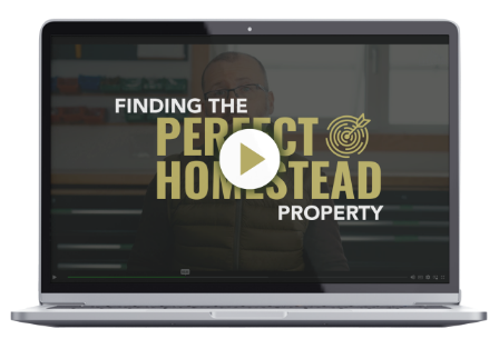 FINDING THE PERFECT HOMESTEAD PROPERTY