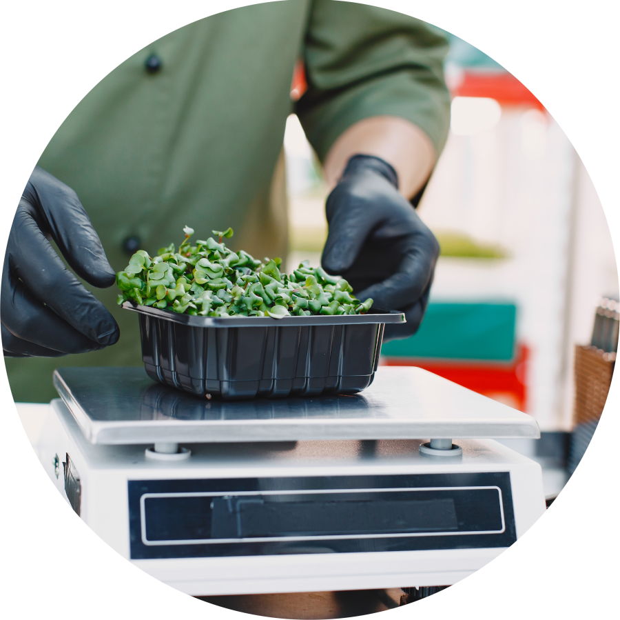 Accounting for Microgreens Business