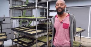 Building a Microgreens Business