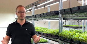 Microgreens Business