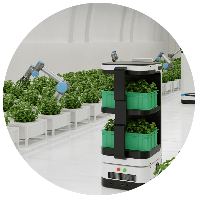 Microgreens Farming Automation