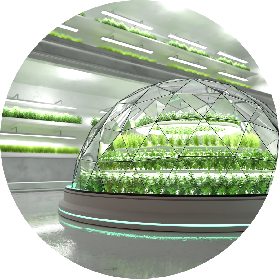 Microgreens Technology