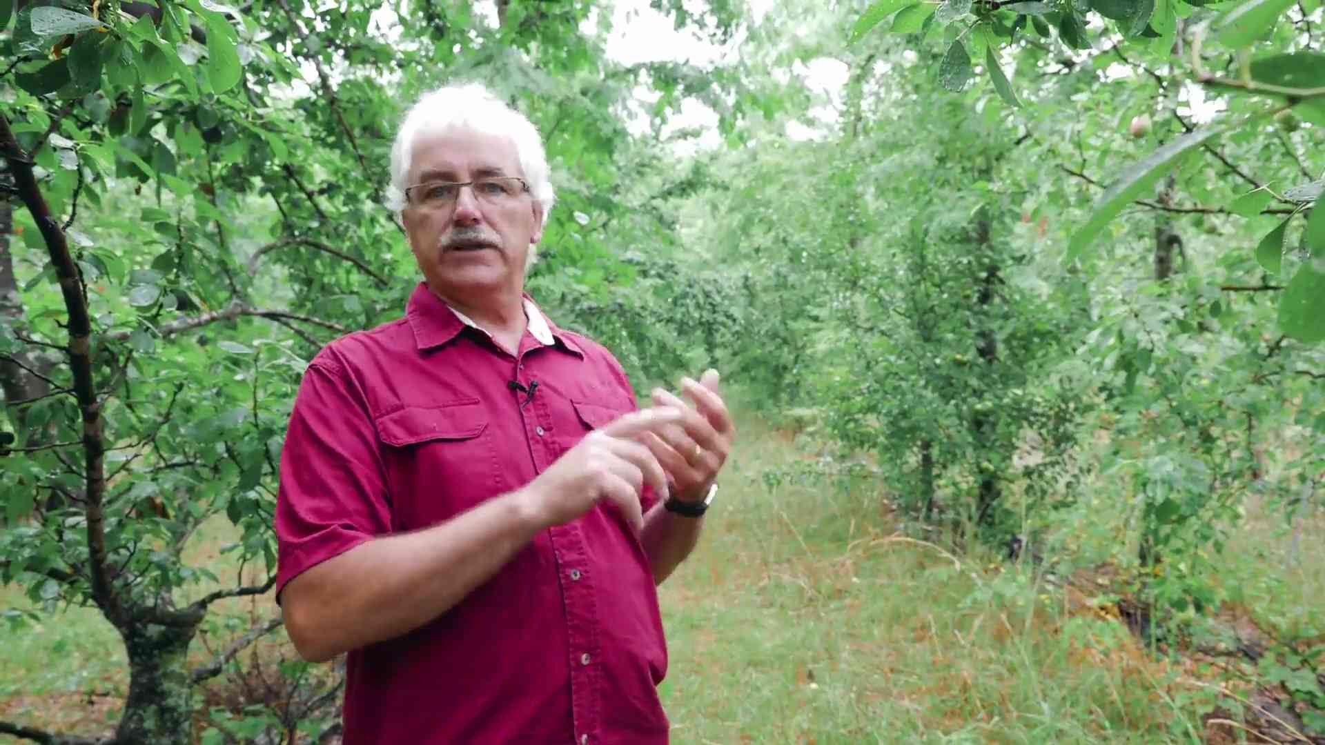 The Miracle Farm Polyculture With Stefan Sobkowiak Freedom Farmers