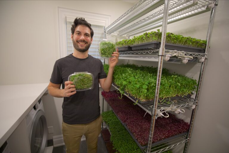 Jonah Krochmalnek with clamshells of microgreens beside his home growing rack