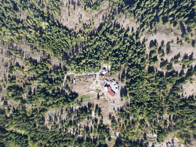 Homestead buildings and garden in a forest clearing