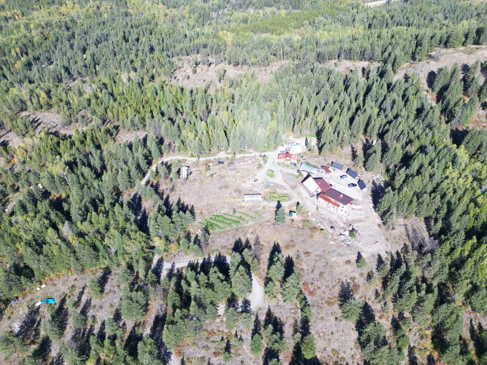 Aerial view of a homestead in a forest clearing, with the access road and garden visible