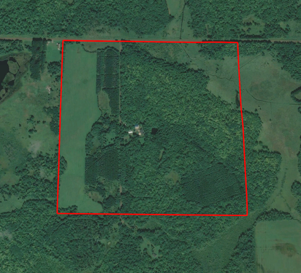 Screen Shot 2024-06-11 at 8.03.42 AM