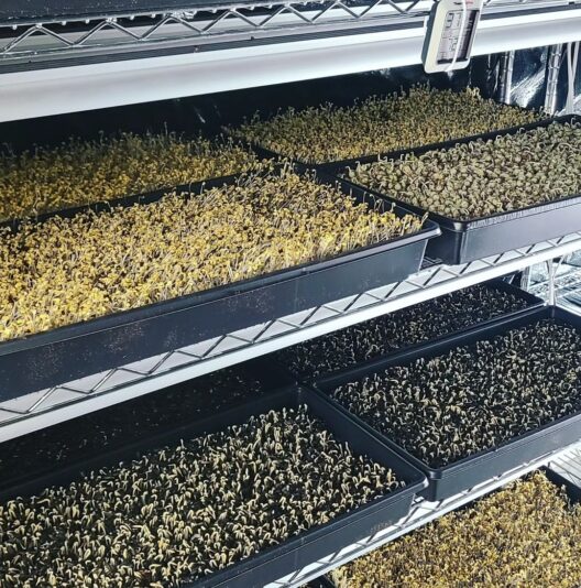 Screenshot_20240718_195446_Instagram