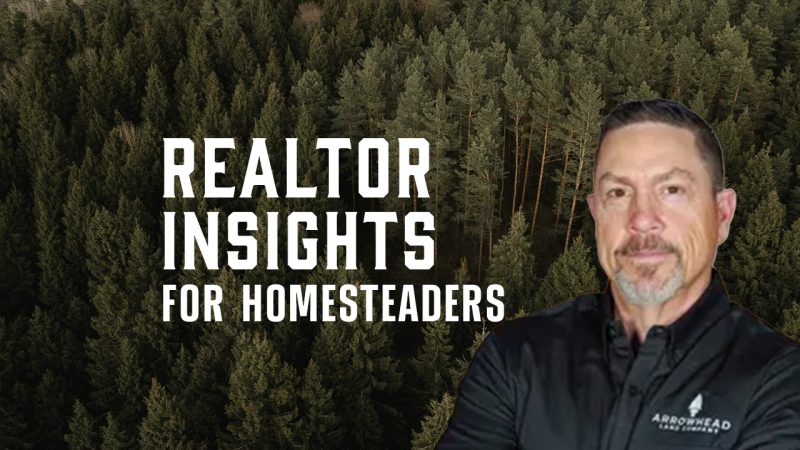 Realtor Insights Thumbnail 1280x720 V2