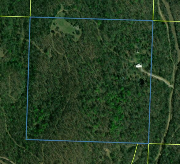 Screen Shot 2024-10-08 at 7.08.46 AM