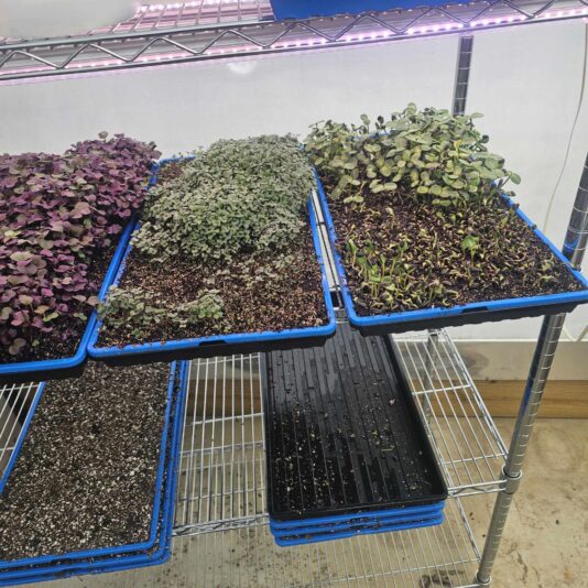 487149957_1007148127525455_3996265652437419141_n