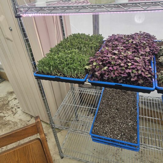 487048044_1559475971400599_5778886198081304681_n (2)