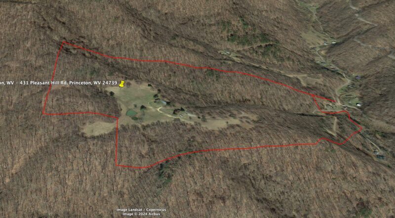 Screen Shot 2024-11-14 at 12.01.44 PM