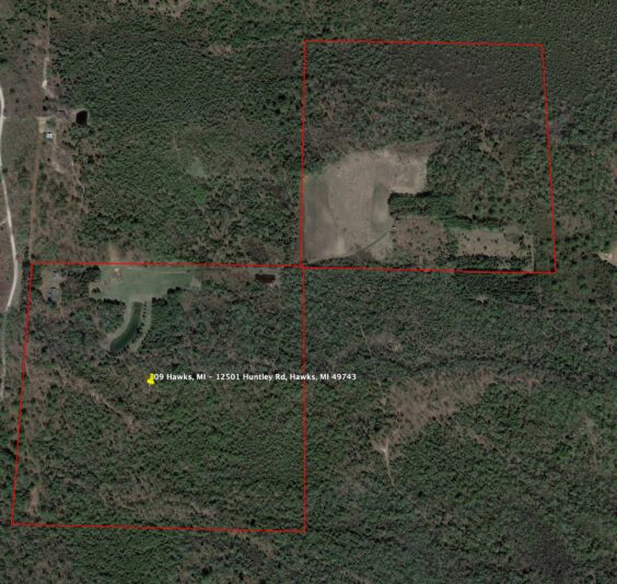 Screen Shot 2024-09-26 at 8.41.29 AM