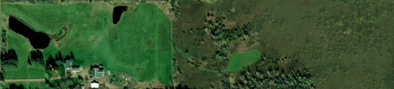 Screen Shot 2024-06-18 at 9.31.47 AM