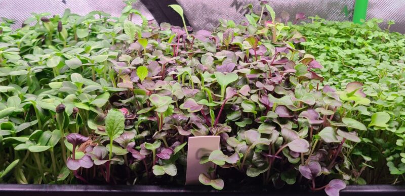 Screenshot_20240722_190705_Gallery