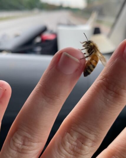 D731BCB0-40DF-4880-A0EA-CCD6A097C83D