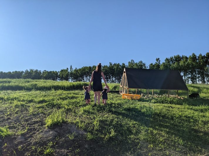 PXL_20220627_013129256