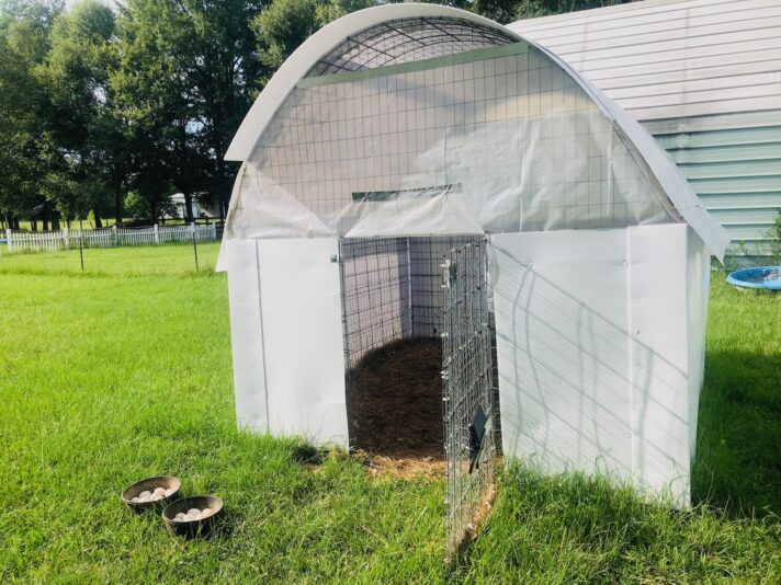 Small Duck Pen and Eggs