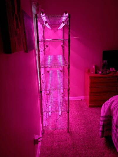 Grow Lights Rack 1