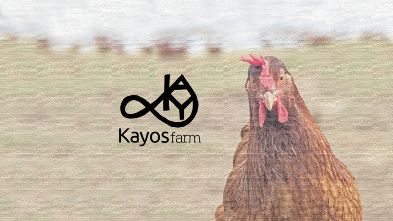 Kayos website home header resized