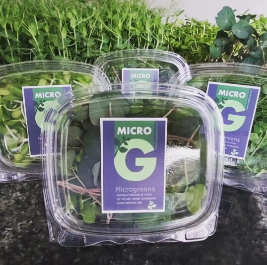 Screenshot_20240718_195301_Instagram