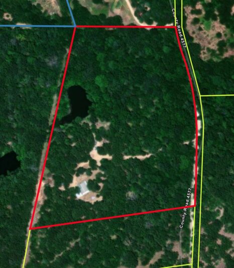 sulphur springs, TX Screenshot