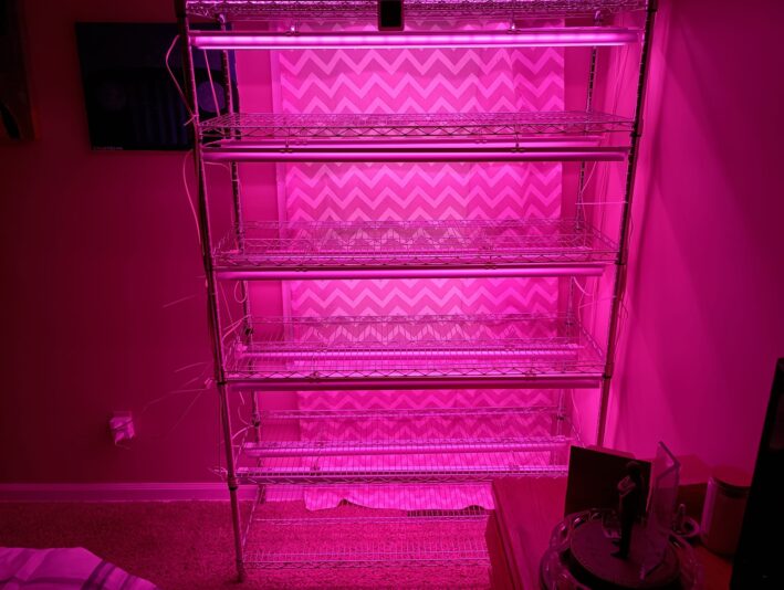 Grow Lights Rack 2