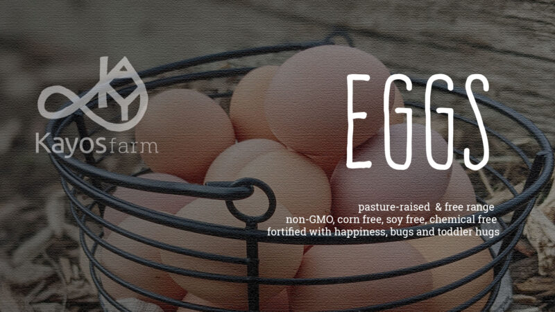 Kayos eggs header copy